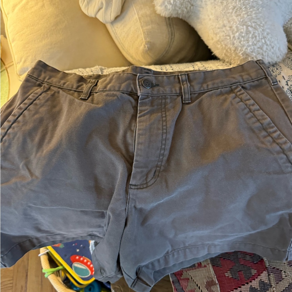 Patagonia Shorts